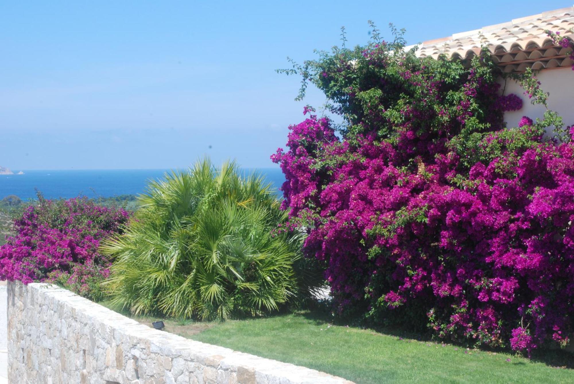 Villa la Vista Lumio  Esterno foto